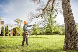Best Lawn Grading and Leveling  in Kaser, NY