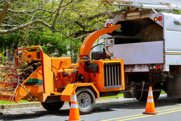 Mulching Services in Kaser, NY