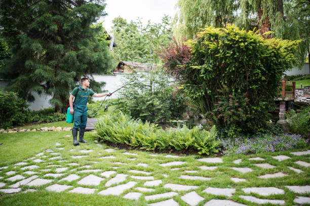 Best Fruit Tree Pruning  in Kaser, NY